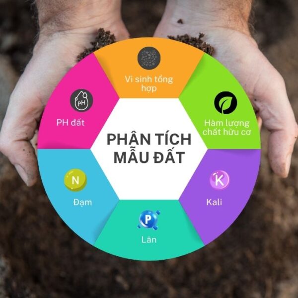 Phân tích mẫu đất cho vườn: Giúp phát hiện tình trạng đất và khôi phục vườn cây bị bệnh và thiếu chất