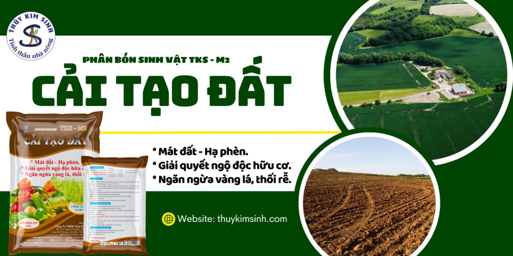 Phân Bón Cải Tạo Đất TKS M2: Hạ Phèn, Mát Đất Ngăn Thối Rễ 