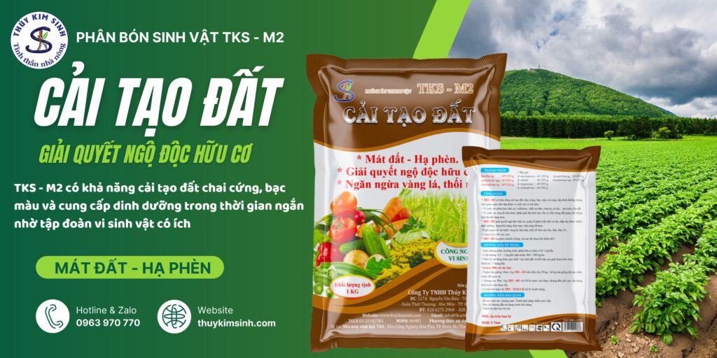 Phân Bón Cải Tạo Đất TKS M2: Hạ Phèn, Mát Đất Ngăn Thối Rễ 