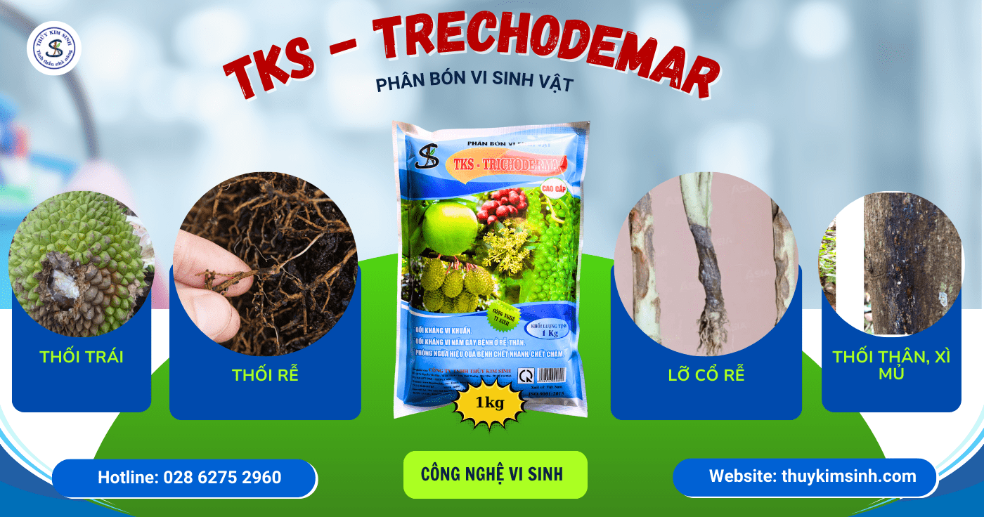 TRICHODERMA TRONG NÔNG NGHIỆP