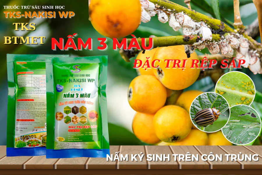 THUỐC TRỪ SÂU SINH HỌC TKS - NAKISI NẤM 3 MÀU ( BT - MET )