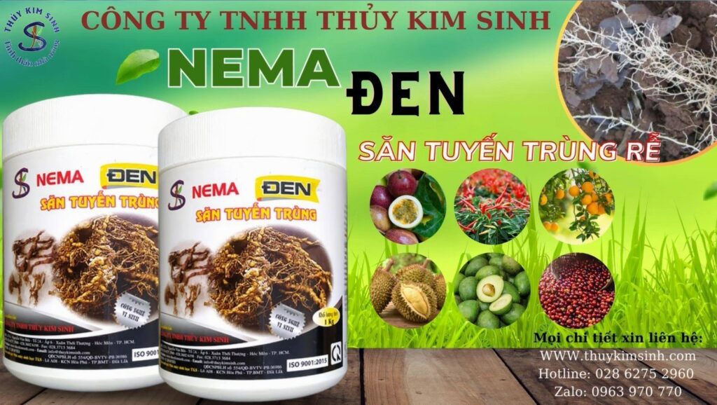 NEMA ĐEN 1Kg: Thuốc trị tuyến trùng rễ