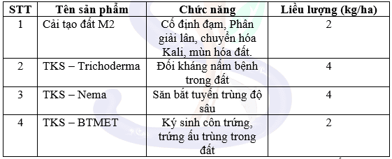 Cách cải tạo đất trồng dưa lưới vàng
