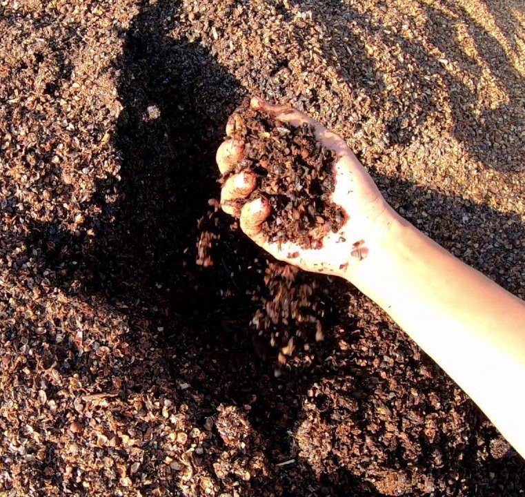 Hướng dẫn cách Ủ vỏ cà phê, trấu, lá cây thành phân hữu cơ vi sinh