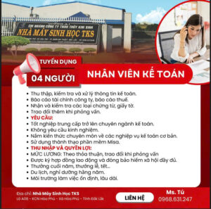 Việc làm Kế toán Buôn Ma Thuột
