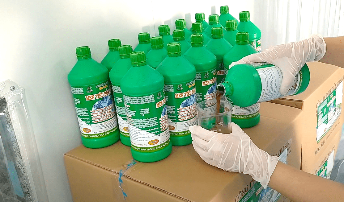 Men vi sinh Ủ Cá làm Thức Ăn Chăn Nuôi