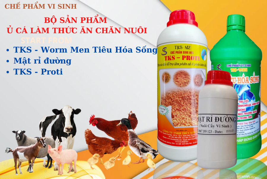 Men vi sinh Ủ Cá làm Thức Ăn Chăn Nuôi