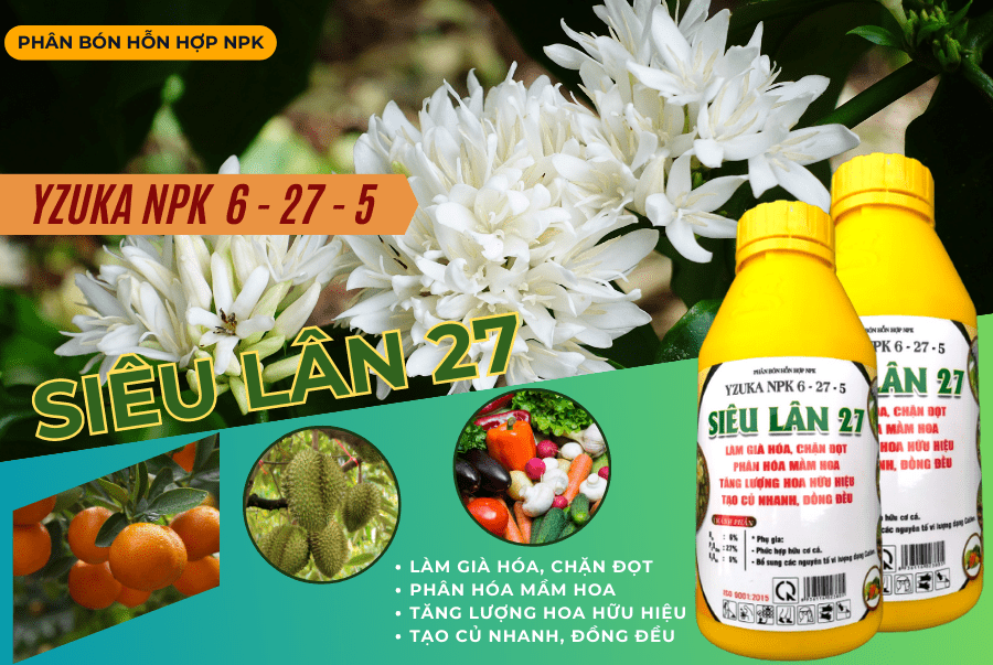 Phân Siêu Lân NPK 6 – 27 – 5 YZUKA: Siêu lân kích rễ Phân Siêu Lân NPK 6 – 27 – 5 YZUKA: Siêu lân kích rễ