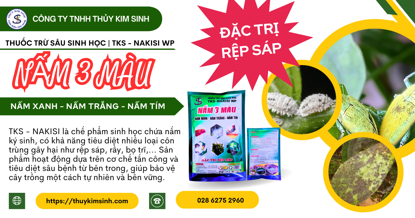 Nấm 3 màu