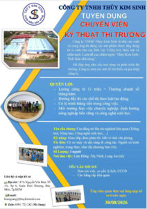 Tuyển dụng Chuyên viên Kỹ thuật Thị trường